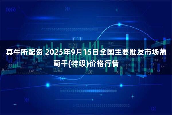 真牛所配资 2025年9月15日全国主要批发市场葡萄干(特级)价格行情
