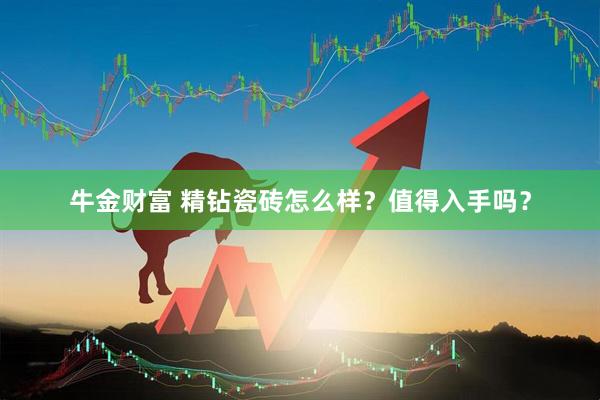 牛金财富 精钻瓷砖怎么样？值得入手吗？
