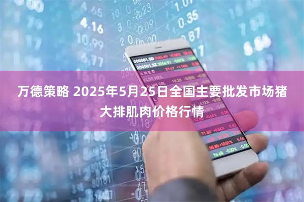 万德策略 2025年5月25日全国主要批发市场猪大排肌肉价格行情