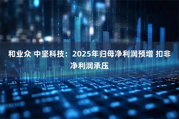 和业众 中坚科技：2025年归母净利润预增 扣非净利润承压